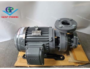 Bơm nước TECO G310-65-2P-10HP  3 pha - TECH132S2-2